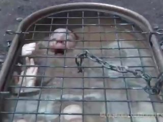 Chained cutie needs voluptuous torture
