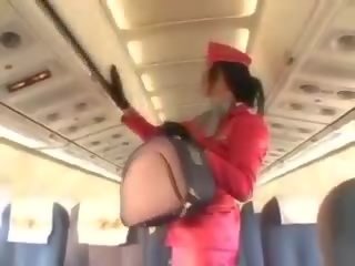 Charming stewardess sucking prick before cunnilingus