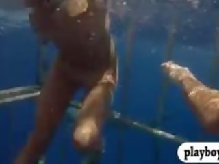 Fascinating Babes Swam In Shark Cage And Snowboarding Topless