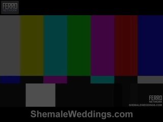 शीमेल weddings proudly प्रस्तुत senna, camile, patricia_bismarck में xxx चलचित्र दृश्य